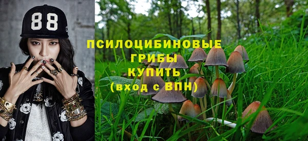 молекула духа Верея