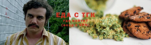гидра Верхний Тагил