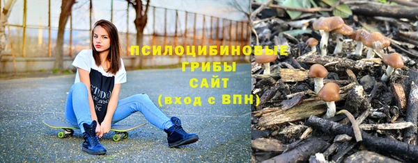 гидра Верхний Тагил