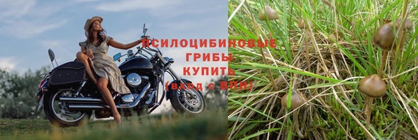 молекула духа Верея