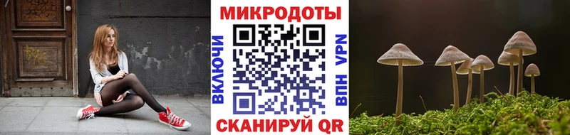 Галлюциногенные грибы Psilocybine cubensis  наркотики  Урус-Мартан 